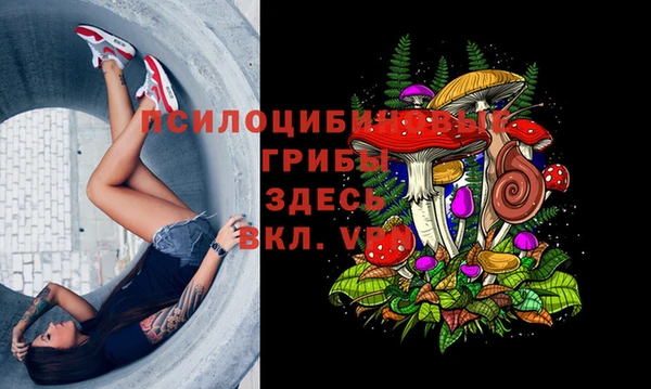 apvp Абинск