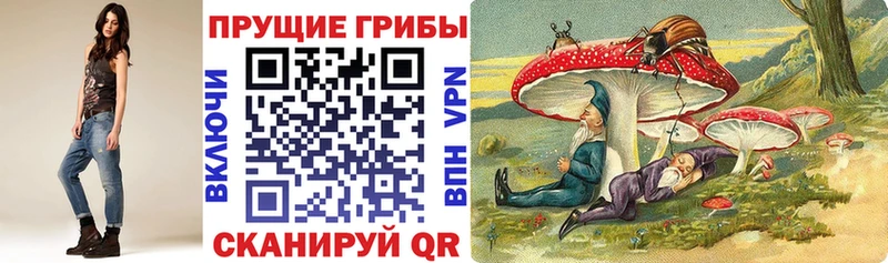 Псилоцибиновые грибы Psilocybine cubensis  гидра ТОР  Сухой Лог 
